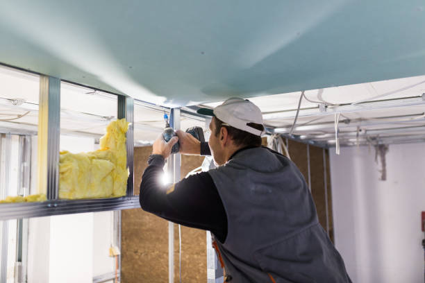 Professional Insulation Contractor in Port Gibson, MS