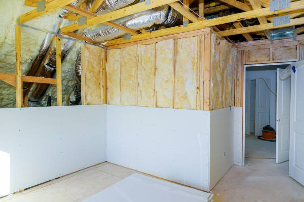 Best Geographic-Specific Insulation Services in Port Gibson, MS