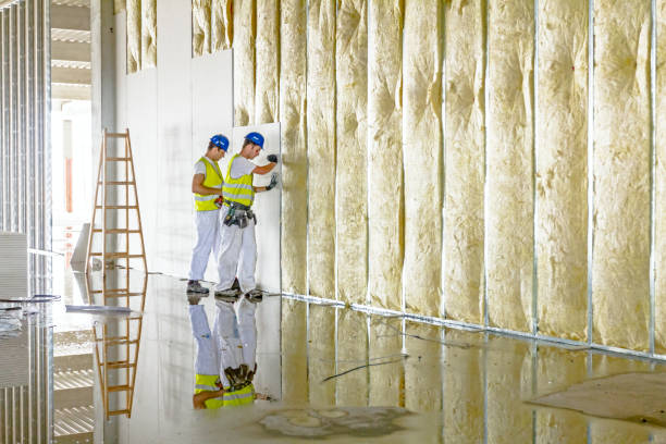 Best Residential Insulation in Port Gibson, MS